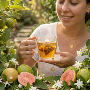 Guava Leaf Vegan Organic <b>Tea</b> Herbal Pyramid Bag Eco Biodegradable Natural Detox Antioxidant <b>Slimming</b> Caffeine Free 30 Count - Product Image 3