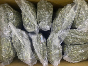 BEST SELLER Feuilles de papaye séchées coupées, utilisées pour la production de boissons et les besoins quotidiens de brassage, avec une offre stable du Vietnam - Product Image 5