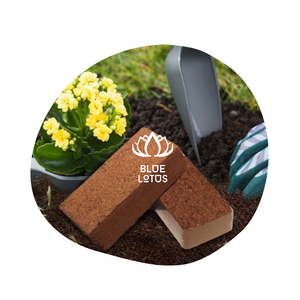 Hot Deal Meilleur Prix Tourbe Mousse Noix De Coco Pellets Semis Bloc De Sol 5kg Coco Tourbe Plantes De Jardin De Lotus Bleu Viet Nam - Product Image 1