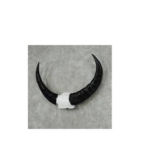 Par de cuernos de búfalo soporte de base de madera cuerno pulido decorativo de búfalo para pieza de decoración montada en la pared al mejor precio - Product Image 5