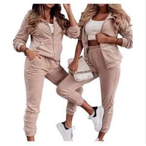 Gran oferta, chándal de terciopelo bordado, conjunto de dos piezas, ropa de mujer, conjunto deportivo de manga larga con cremallera, chándal de terciopelo de todos los colores para mujer - Product Image 4
