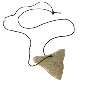 Collar de cuerda negra con dientes de tiburón para hombre y mujer, collar con colgante de hueso de los dientes de tiburón blanco