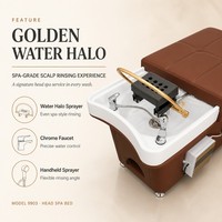 Lit de spa capillaire moderne 9903, lit de lavage électrique avec pulvérisateur d'eau, repose-nuque ergonomique, équipement de salon et spa pour lavage de cheveux et massage