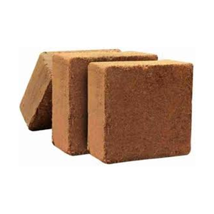 Bloques de hueso de coco blanco Coco planta de venta al por mayor cocopeat cultivo Bulking Deutsch Buffer Coco turba calidad excepcional bloques de 5Kg - Product Image 1