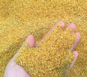 DDGS de maíz de calidad superior para alimentación animal al precio más bajo para exportación - Product Image 5