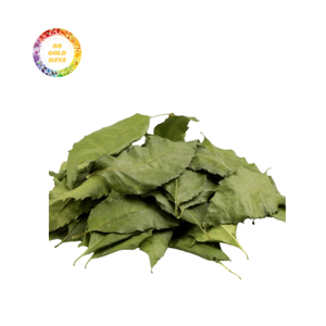Feuilles de neem séchées d'excellente qualité-Meilleures offres de gros avec des prix compétitifs pour les commandes en gros - Product Image 4