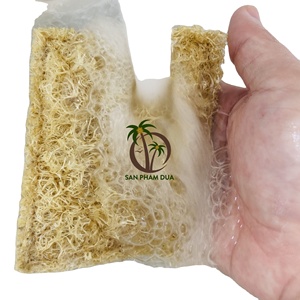 ฟองน้ำทำจากวัสดุธรรมชาติที่มีคุณภาพสูงที่ดีสำหรับสภาพแวดล้อม LOOFAH ฟองน้ำเครื่องครัวขายส่งจากเวียดนาม - Product Image 5