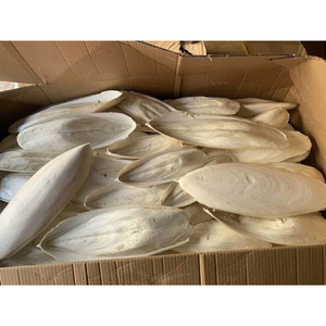 Os de seiche séchés Approvisionnement en gros Prix compétitif Exportation naturelle de calcium d'oiseau de compagnie Garantie de qualité en vrac - Product Image 3