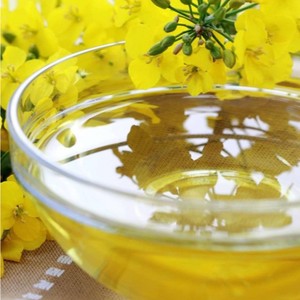 Huile de colza de qualité supérieure, export en vrac, fournisseur en gros, directement de l'usine pour les chaînes de vente au détail, les distributeurs et les acheteurs internationaux - Product Image 1