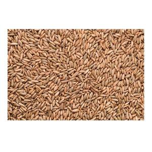 Meilleur prix pour les grains de seigle biologiques, stock en vrac disponible avec emballage personnalisé - Product Image 2