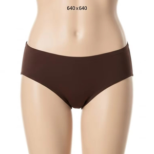 Braguitas de Nailon de Corte Alto de Secado Rápido para Mujer, Tejido de Nailon Transpirable, Elástico y Cómodo, Ropa Interior Diaria - Product Image 1