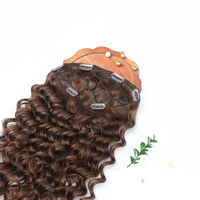Extensions de cheveux indiens bouclés à clipser Fishnut, double trame, toutes couleurs, teintables, marque Hairarchy, vente en gros, meilleur prix