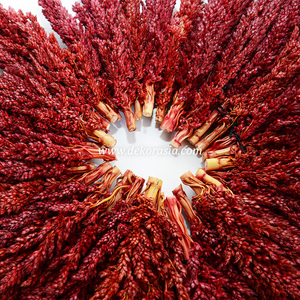 Độc Đáo Hoa Tường Trang Trí Nội Thất Trong Màu Đỏ Trang Trí Thủ Công Trang Trí Thủ Công Cho Phòng Khách Trang Trí Nội Thất - Product Image 6