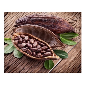 Cacao en vrac à vendre Cacao de qualité supérieure disponible en grandes quantités pour les commandes en gros à bas prix - Product Image 6
