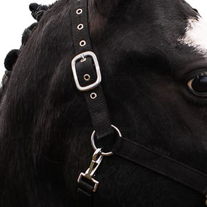 Wholesale Rate Factory Rate Newest Trendy Comfort Fit Horse Halter Adjustable <b>Buckles</b> Durable Nylon/Genuine Leather Stable - Product Image 4
