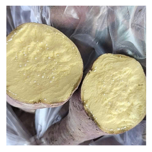 Batata congelada procesada limpia de Vietnam con embalaje ordenado de forma consistente y suministro de exportación estable para uso alimentario - Product Image 6