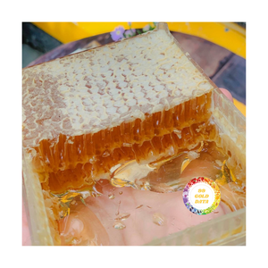 PANAL CRUDO NATURAL SUMINISTRO DE MIEL FRESCA PURA EN EMBALAJE A GRANEL CON BUEN PRECIO Y EXPORTACIÓN DE ALTA CALIDAD - Product Image 2