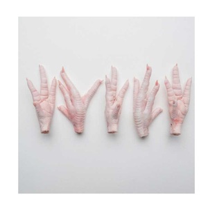 ตีนไก่ฮาลาล / ตีนไก่แช่แข็ง ราคาขายส่ง - Product Image 2
