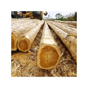 Grumes de bois de teck massif Bois de qualité supérieure pour la construction de bateaux, la terrasse et les meubles de luxe - Product Image 2