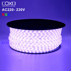 Tira de luces LED RGB <span class=keywords><strong>SMD</strong></span> 5050, IP65, 50M, 10M, cambio de Color, PVC, alto lumen, decoración de fiesta de Navidad, iluminación de cinta <span class=keywords><strong>Flexible</strong></span> - Product Image 1