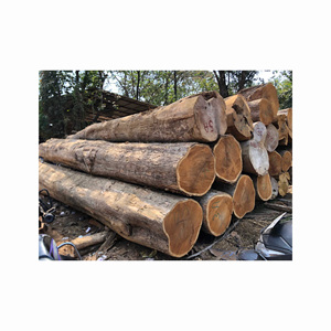 Bûches d'Acacia Mangium 100% Haute Qualité Origine États-Unis Garantie 5+ Ans Design Moderne Emballage en Vrac Vente en Gros - Product Image 1