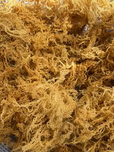VIET NAM <b>DRIED</b> IRISH SEA <b>MOSS</b>// Ms. Lima - Product Image 6