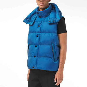 Veste matelassée matelassée imperméable d'hiver à col montant pour hommes Veste matelassée d'extérieur pour hommes - Product Image 2