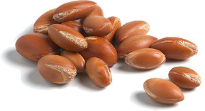 Huile d'argan biologique marocaine de qualité supérieure, huile naturelle pour le soin des cheveux, renforçant les cheveux, réduisant les frisottis, pour un usage professionnel - Product Image 5