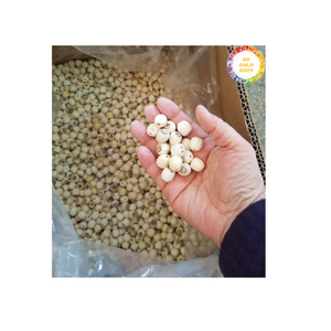 Semillas de Loto Secas Premium Naturales de 8mm, Origen Vietnam, Sin Conservantes, para Repostería Tradicional, Suministro al por Mayor - Product Image 1