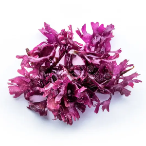 Alerta de stock limitada Compre 5 y Obtenga 1 gratis-Suplemento de algas marinas Pure Irish Carrageen Moss (Sea Moss Gold - Purple) - Product Image 5