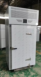 Refroidisseur rapide commercial Kolice à 15 plateaux avec chariot -40°C ° F |   Congélateur à choc en acier inoxydable 615L, 2700W, 220V - Product Image 4