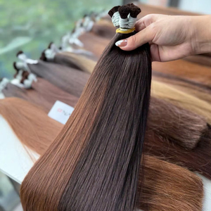 Extensions de Cheveux Humains Vierges Vietnamiens en Vrac 24 Pouces Qualité Premium Double Dessiné 100g pour Toutes les Couleurs - Product Image 1