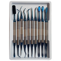 Produk laris Kit lift Molt periostex gigi halus lapis Plasma Titanium biru instrumen bedah Set gigi implan