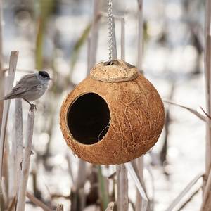 Coquille de noix de coco suspendue à l'extérieur 100% naturelle, maison d'oiseau écologique faite à la main, prix bon marché, prête à être expédiée - Product Image 4