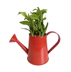 iron garden and home decoration watering can iron planter /cheap and best iron planter/powder coated finished plant