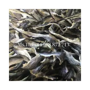 ส่งออกหนังปลา Basa ราคาดีที่สุดในตลาดจากเวียดนาม 2024/Ms.Thi +84 988 872 713