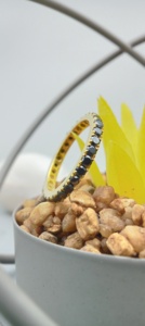 Anillo de Compromiso Clásico para Mujer, Diamante de Corte Brillante Cultivado en Laboratorio VVS, Oro de 14k/18k, Certificado por IGI, para Fiestas y Aniversarios - Product Image 5