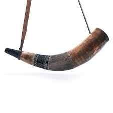 Cuerno de búfalo hecho a mano de alta calidad Técnica pulida para música y rituales Estilo animal Blow Horn - Product Image 4