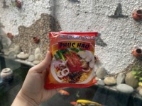 Nouilles instantanées ramen à saveur de fruits de mer en vrac OEM paquet de sac de marque personnalisée au Vietnam-Phuc Hao nouilles instantanées 60g au meilleur prix