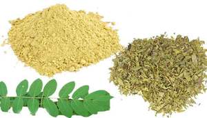 100% Fournisseur et fabricant de poudre de feuille de séné de qualité alimentaire biologique pure et naturelle en Inde - Product Image 5