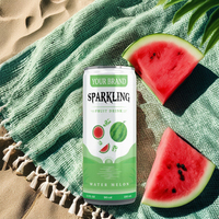 Groothandel op maat gemaakte private label alcoholvrije gearomatiseerde NFC tropische fruitcocktail sprankelende vitamine-energie fruit- en groentenmix