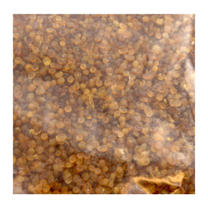 Colla per Perline per Restauro Kg.1 - Product Image 2