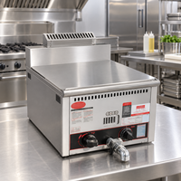 Friteuse à gaz de comptoir, machine à frire au gaz commerciale pour poulet frit, frites et snacks