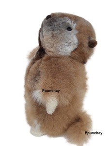 Peluche bébé alpaga marmotte Ppunchay du Pérou, douce, jolie et mignonne - Product Image 1
