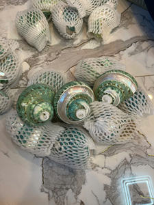 Material Natural de Vietnam Seashell para decoración de embalaje de joyería artesanal y accesorios temáticos costeros - Product Image 5