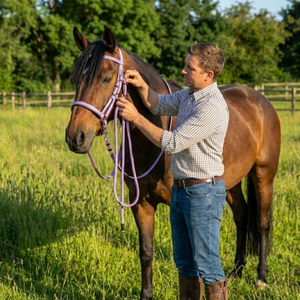 Bridon de cheval en cuir de qualité supérieure |   Réglable et durable |   Ajustement confortable pour tous les chevaux |   Parfait pour l'entraînement et l'équitation - Product Image 3