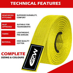 Ceinture de Jiu-Jitsu Brésilien Personnalisée pour Hommes, Femmes et Enfants, Légère, Karaté, Arts Martiaux, Kimono avec Rayures de Classement - Product Image 3