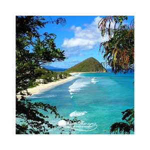 Compra Beech Long para proyectos de mejora del hogar disponibles en grandes cantidades a excelentes precios Beech Long es ideal para crear - Product Image 6