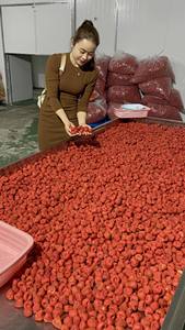 Fraises lyophilisées du Vietnam, sucrées et croquantes, parfaites pour les bols de smoothie, les collations et les desserts avec des fraises séchées - Product Image 4