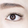 ขนตาปลอม Pure Smooth Lash 12-Line Classic แบบเส้นใย PBT จากเกาหลี ความโค้ง CC Curl และ D-Curl ความหนา 0.2 มม. ความยาว 8 มม. ให้ความหนาพิเศษ - Product Image 4